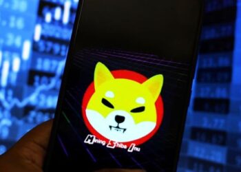 Shiba Inu under direct attack by rival ‘anti-memecoin’ that has soared 21,000x | City & Business | Finance