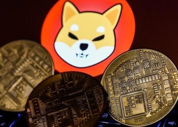 Altcoins like Shiba Inu gain prominence but remain on shaky ground