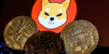 Altcoins like Shiba Inu gain prominence but remain on shaky ground
