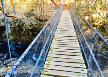 Akt.io, a Platform Bridging DeFi, Wealth Mgmt, Payments, Teams Up with HBAR Foundation