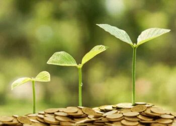 Buy These 3 Top Growth Stocks