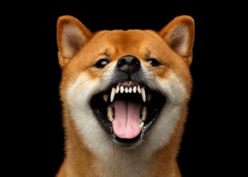 2 Cryptocurrency Plays for People Who Are Scared of Cryptocurrency