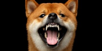 2 Cryptocurrency Plays for People Who Are Scared of Cryptocurrency