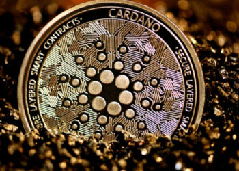 Cardano leads weekly inflows, but what’s next for investors