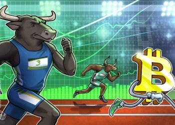‘Monster bull move’ means whales could secure the next Bitcoin price surge