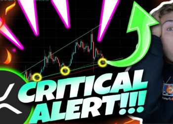 XRP RIPPLE HODLERS! *CRITICAL ALERT NOW!* THIS SUPPORT MUST HOLD FOR US TO BREAK OUT AGAIN!!!
