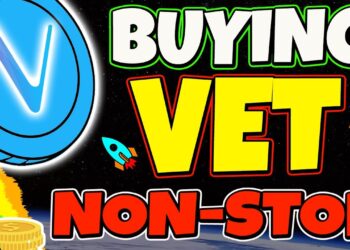 WHY I'M BUY AS MUCH VECHAIN POSSIBLE!! ALTCOIN UPDATE