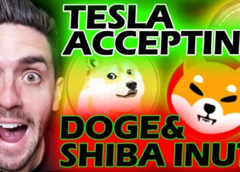 MASSIVE UPDATE FOR SHIBA INU AND DOGECOIN!!!!!!!  #DOGECOIN #SHIBAINU
