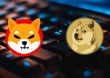 GameStop to now Accept Shiba Inu and Dogecoin