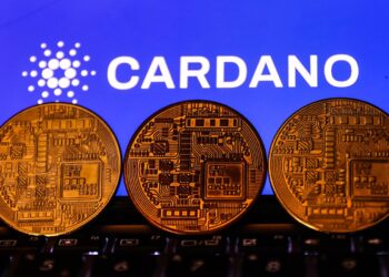 How the lesser-known crypto tokens fared in 2021