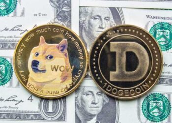 Dogecoin Dev Joins Elon Musk in Faulting the Us Government