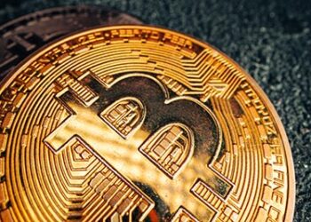 Cardano, Avalanche and HUH Token