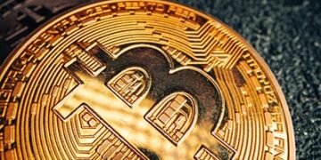 Cardano, Avalanche and HUH Token