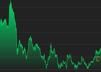 Cardano, Polkadot Jump as Bitcoin Holds Above $50K