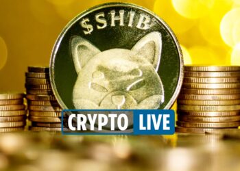 Cryptocurrency price NEWS – Melania Trump launches NFT as Bitcoin and Shiba Inu are both UP on CoinBase