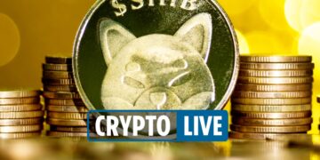 Cryptocurrency price NEWS – Melania Trump launches NFT as Bitcoin and Shiba Inu are both UP on CoinBase