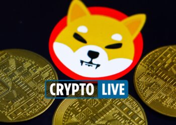 Cryptocurrency price LIVE – Bitcoin ‘WILL replace the dollar,’ Twitter’s Jack Dorsey tells Cardi B as Shiba Inu plummets