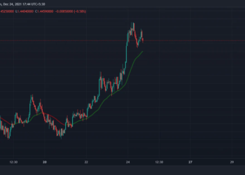 Cardano, Polkadot Advance as Crypto Market Rallies Ahead of Christmas
