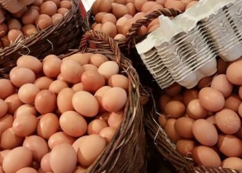 Why Portfolio Managers Will Need to Look at Altcoins in 2022 – CoinDesk