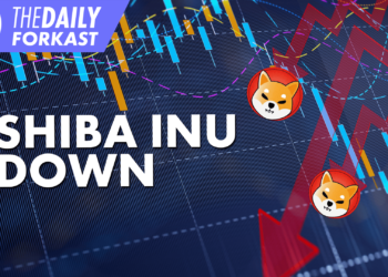 Shibu Inu coin struggles; Blockchain an inflation hedge solution?