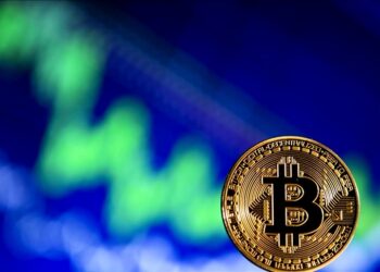 Why Did Crypto Markets Plummet on Saturday, December 4, 2021?