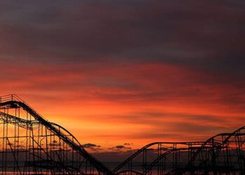 Bitcoin Falls After Edging Toward $50K; Altcoins Rally