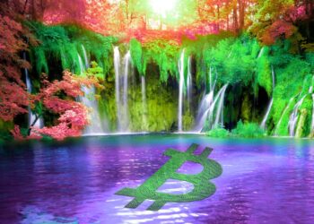 Crypto Analyst Justin Bennett Predicts Reversal Scenarios for Bitcoin and One Enterprise Blockchain Altcoin