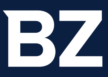 Thinking About Buying Polkadot, Cardano, Chainlink, KickToken, or Zum Token?