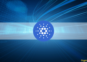 Bitcoin Amid $49K, Cardano (ADA) Spikes 6%