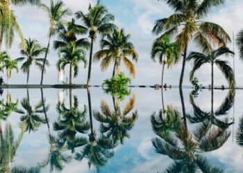 While Xange.com chooses XRPL for ‘sustainability,’ is there a greener alternative