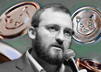 Hoskinson vents as BitPay list Shiba Inu over ADA despite Cardano poll lead