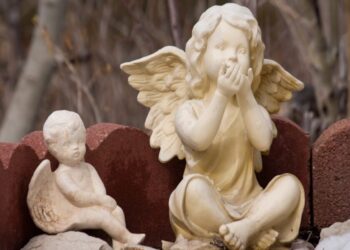 On angels, demons, and godfathers: Has the VC support model gone too far?