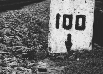 Despite stagnant prices, Cardano reaches the 1 million wallets staked milestone