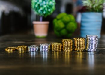 A Sled Ride To The Moon With Shiba Inu, Dogecoin and HUH Token