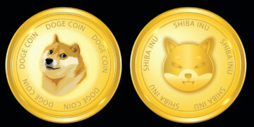 DOGE and SHIB Led the Pack of Meme-Based Assets in 2021, Both Tokens Dominate 85% of the Meme-Coin Economy – Markets and Prices Bitcoin News