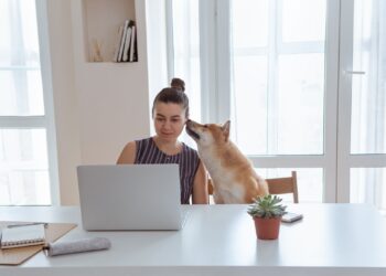 How Much Would Shiba Inu Soar if Robinhood Adds the Altcoin?