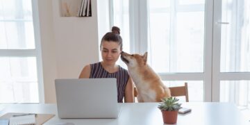 How Much Would Shiba Inu Soar if Robinhood Adds the Altcoin?