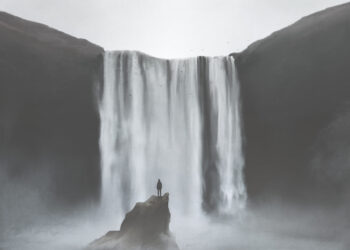 Solana, Tron Lead Altcoins As Digital Asset Inflows Drop