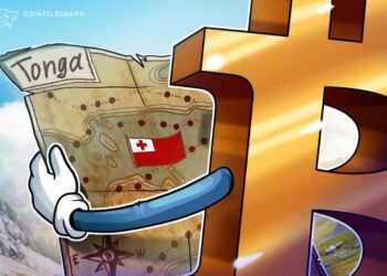 A Tongan lord plans for financial security