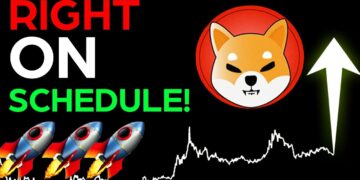 SHIBA INU IS RIGHT ON SCHEDULE! (MAJOR SHIBA INU PRICE PREDICTION!)