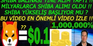 SHİBA İNU COİN BALİNASI YİNE ALIM YAPTI !! MİLYARLARCA SHIBA COİN ALDILAR !! shiba coin analiz