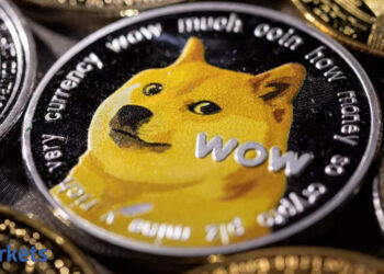 Dogecoin price: Meme coins return to earth as gloom overtakes crypto fanatics