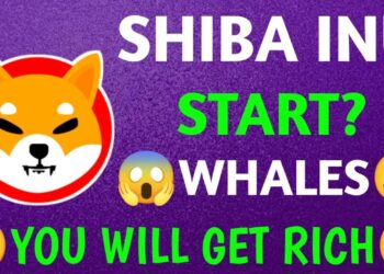 ⚠️गलती मत करना🤑SHIBA INU COIN NEWS TODAY💯 क्या जाएगा ₹1? BULLISH NEWS🔥🚀BURNING START🔥#shiba