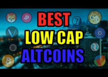 BEST 3 LOW CAP ALTCOINS! 5 BEST HIGH CAP COINS! MASSIVE CRYPTO NEWS [Vechain, Ecomi, Loopring]