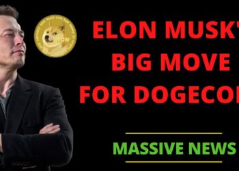 ELON MUSK'S NEXT BIG MOVE FOR DOGECOIN ANNOUNCED!! | DOGECOIN NEWS