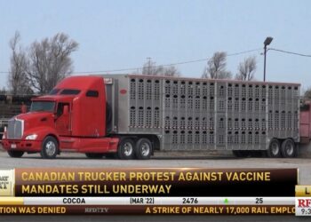 Alberta Cattle Feeders Association on the ripple effects caused by Canadian trucker protest –