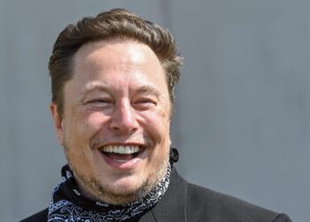 Elon Musk Seems to Want McDonald’s to Take Dogecoin Payments