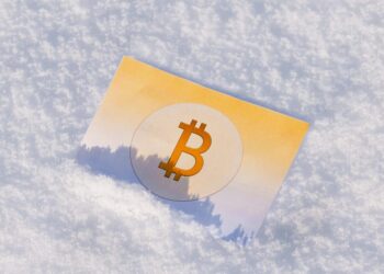 Altcoins to Buy When Market Bottoms Out, BTC Price Predicted to Fall