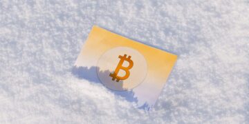 Altcoins to Buy When Market Bottoms Out, BTC Price Predicted to Fall