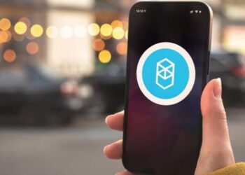 Altcoins Fantom, Cosmos and HUH Token – How Do These Cryptocurrencies Work?